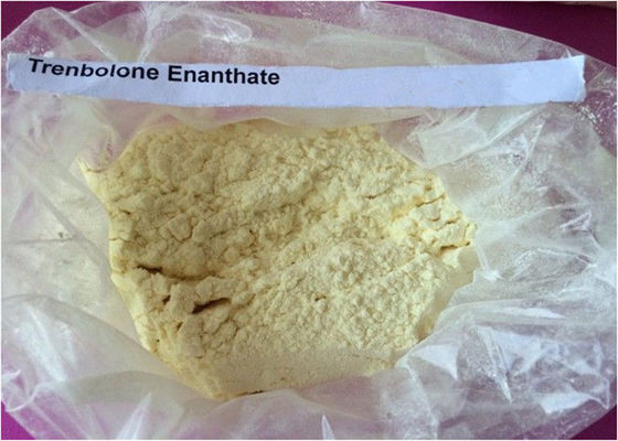 Parabolan Trenbolone Steroids 10161-33-8 Trenbolone Enanthate For Muscle Building